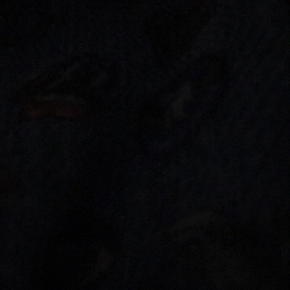 Meet your Posher, Chana